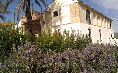 Cortijo San Francisco en Aguilar de la Frontera - Foto 1, Córdoba