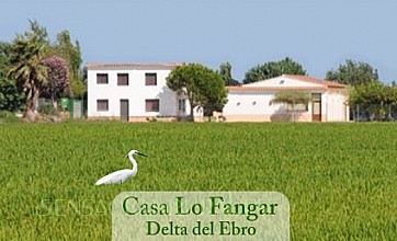 Casa LO FANGAR en Deltebre, Tarragona