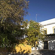 Cortijo Coracho y Casa Alameda 001