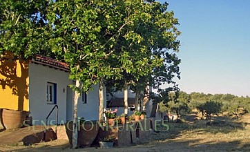 Rural El Parral en Burgohondo, Ávila