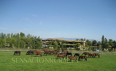 Yeguada Senillosa en Castello D´Empuries - Foto 1, Girona