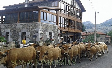 Posada El Mirador en Lavin de Soba, Cantabria