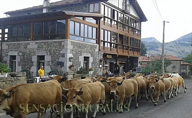 Posada El Mirador