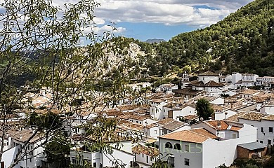 Los Siete Pinos en Grazalema - Foto 1, Cádiz