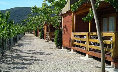 Cabañas y bungalows de madera La Falaguera en Barx - Foto 1, Valencia