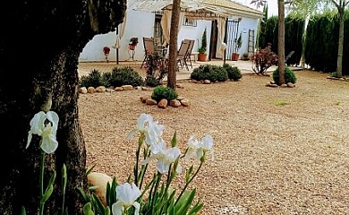 Casa del Abuelo Jose. Alojamiento rural en Marmolejo - Foto 1, Jaén