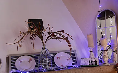 casa 19