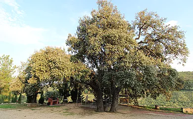 casa 18