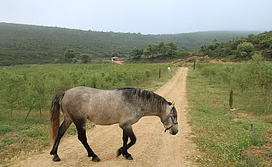 casa 23
