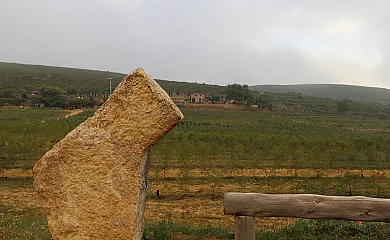 casa 26