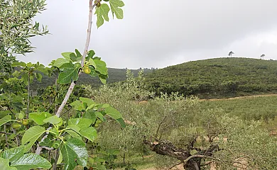 casa 10
