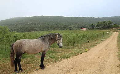 casa 11