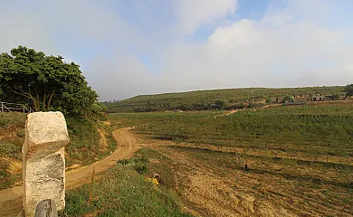 casa 12
