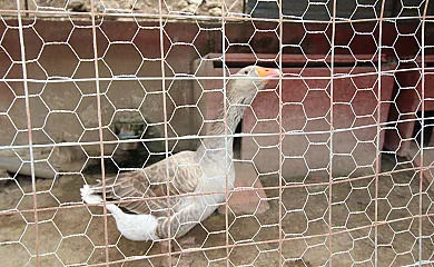casa 13
