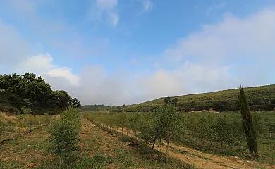 casa 14