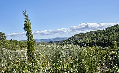 casa 15