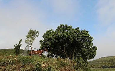casa 12