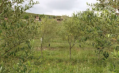 casa 14