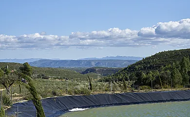 casa 15