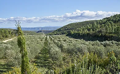 casa 17