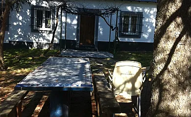 casa 9