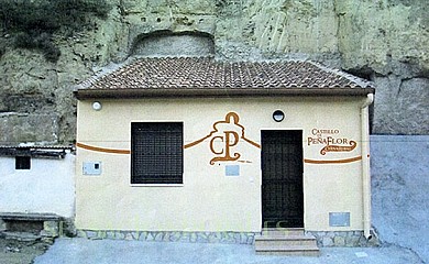 Cueva Rural Castillo de Peñaflor en Valtierra - Foto 1, Navarra