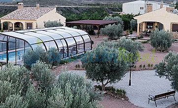 Olivos de Noja en Las Palas, Murcia