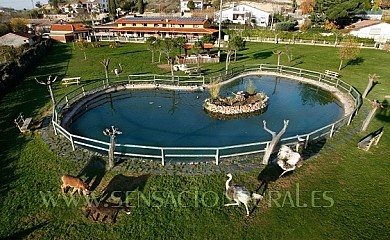 La Noria en Ciudad Rodrigo - Foto 1, Salamanca