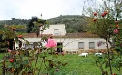casa 5