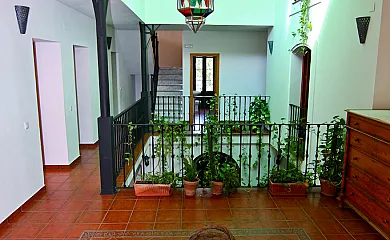 casa 11