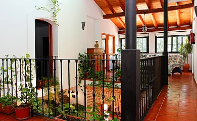 casa 8