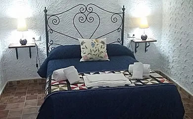 casa 15