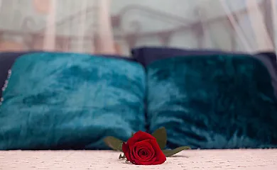 casa 18