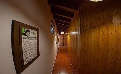 casa 41