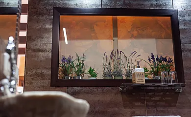 casa 9