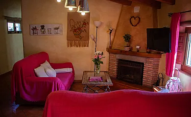 casa 20