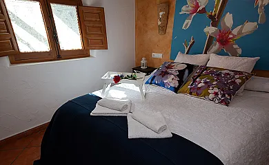 casa 8