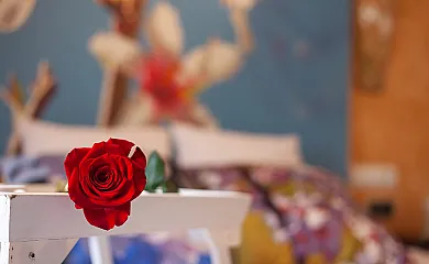 casa 28