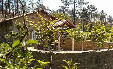 casa 3