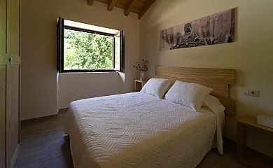 casa 6