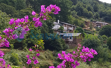 Ribeira Sacra en Ferreira de Pantón - Foto 1, Lugo