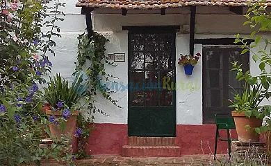 casa 6