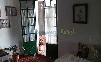 casa 7