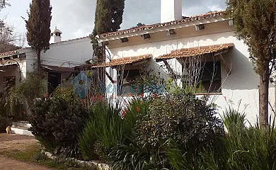 casa 6
