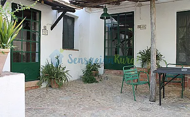 casa 6