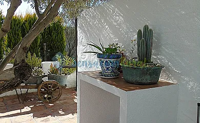 casa 44
