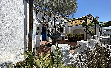 casa 49
