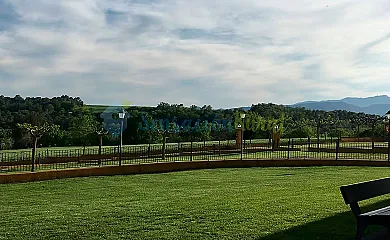 casa 6