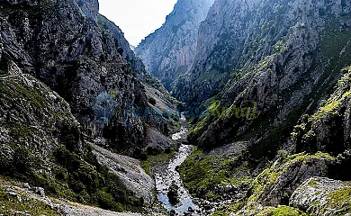 casa 31