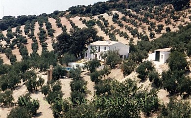 Cortijo La Leona en Carcabuey - Foto 1, Córdoba